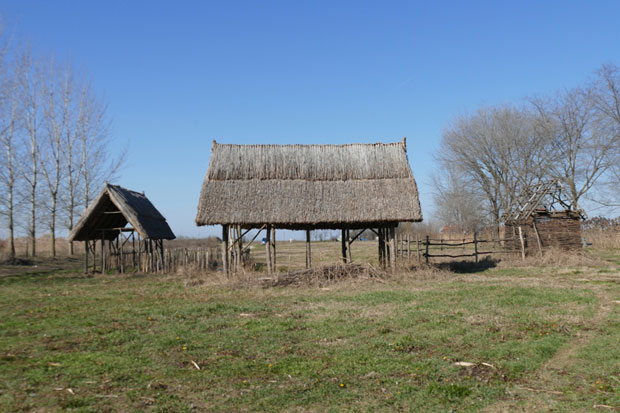 Изградиће куће из неолита: У Раткову код Оџака граде насеље које ће одсликавати винчанску цивилизацију